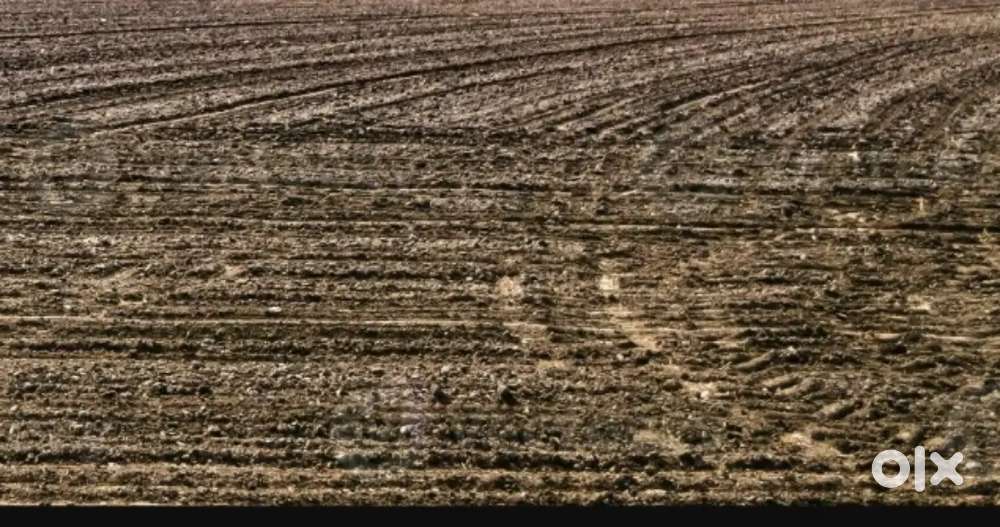 8 lakh rupees kattha