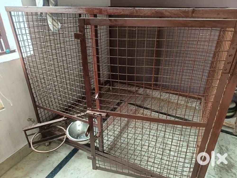 Big size dog cage full heavy metal ka bna hua