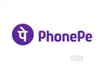 Phonepay Sales Executive