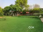 Farmland plot