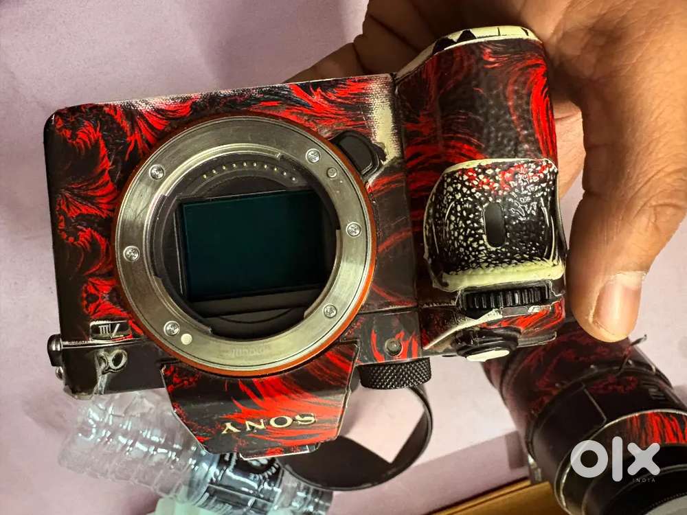 Sony a7m3     24 70 lens 2.8