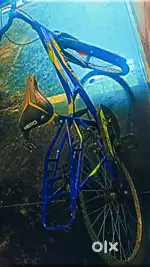 Selling a bicycle