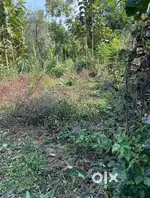 12 cent Plot for sale in Shoranur