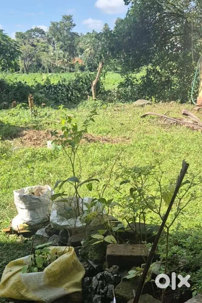 PLOT FOR SALE - NEYYATTINKARA
