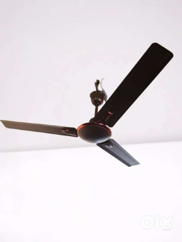 Ceiling fan