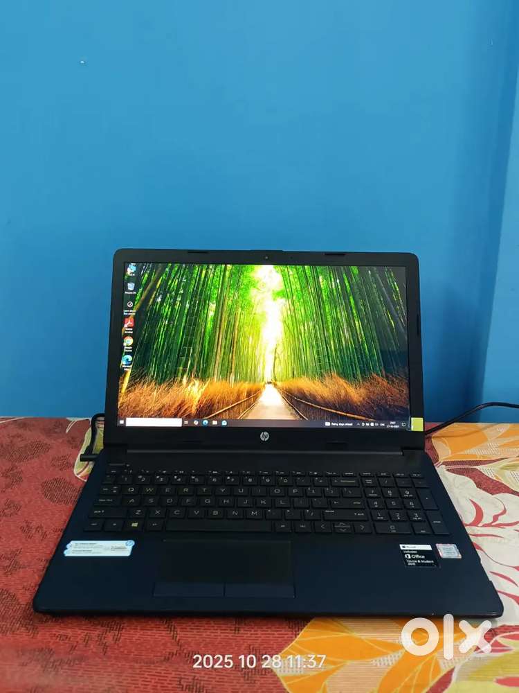 Hp Notebook 15