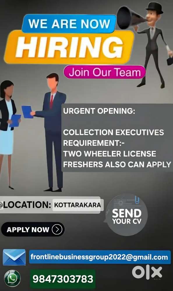 Collection executive