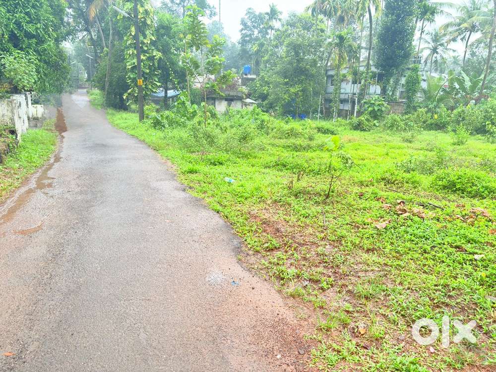 38 CENTS NEAR INFOPARK