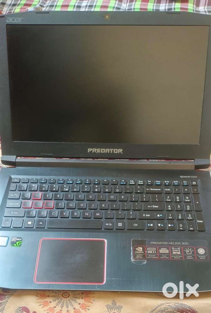 Acer predator