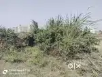 82 Yard Plot Near Shoprix Mall
