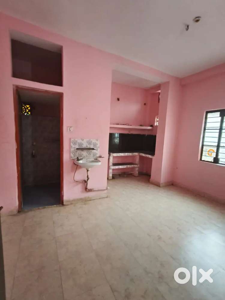 New Forest Park family and bachelor working