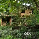 4 Quarters/Appartments (@16 cent) for sale at Mundayad, Kannur