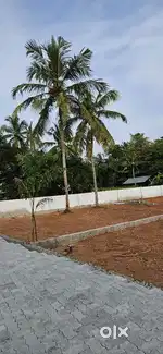 Primum polt near maradu kottaram tebmil 4,5,6,cent