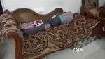 Sofa set & Couch