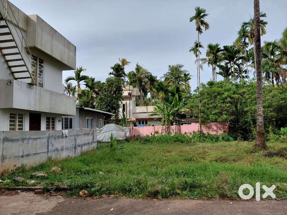 5 cent plot for sale prize per cent₹ 190000. Prize can negotiable