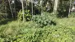 Commercial plot sale pallichal junction