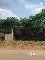 37 cent level house plot for sale- ideal for large houses