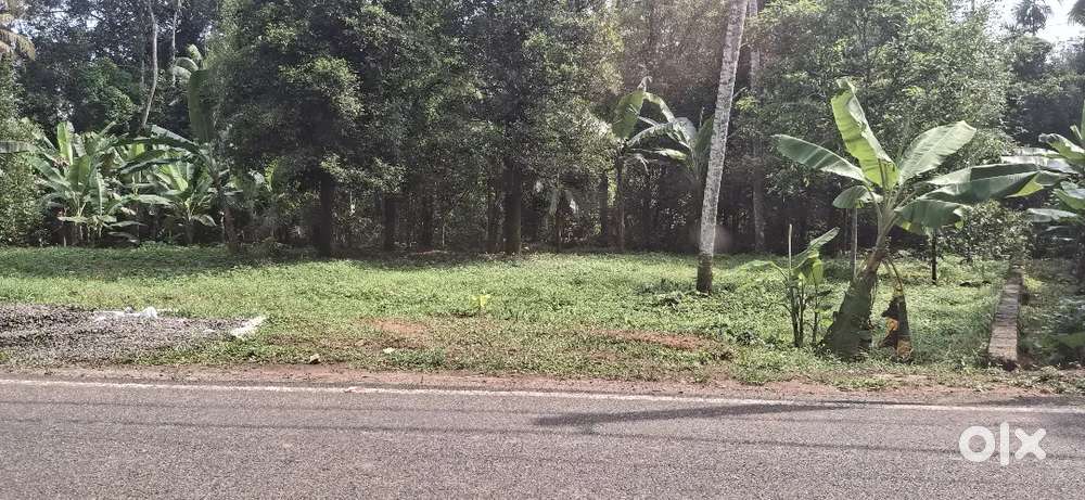 22 CENT HOUSE PLOT FOR SALE NEAR KADAYIRPPU
