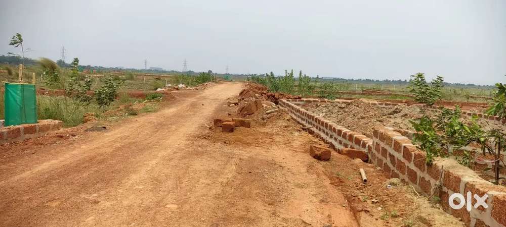Plot near Aiims hospital Bhubaneswar Odisha
