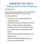 Field Executive
