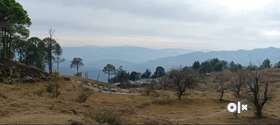 ONE SHOOT PAYMENT BIG DISCOUNT 5 NALI LAND FOR SALE180 degree himalaya view after 100m trek.Address-...