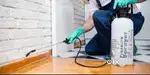 KRISHNA PEST CONTROL SERVICES NCR