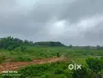 5 gonda jaiga bikri krobo 1.5 cr kani hisabe