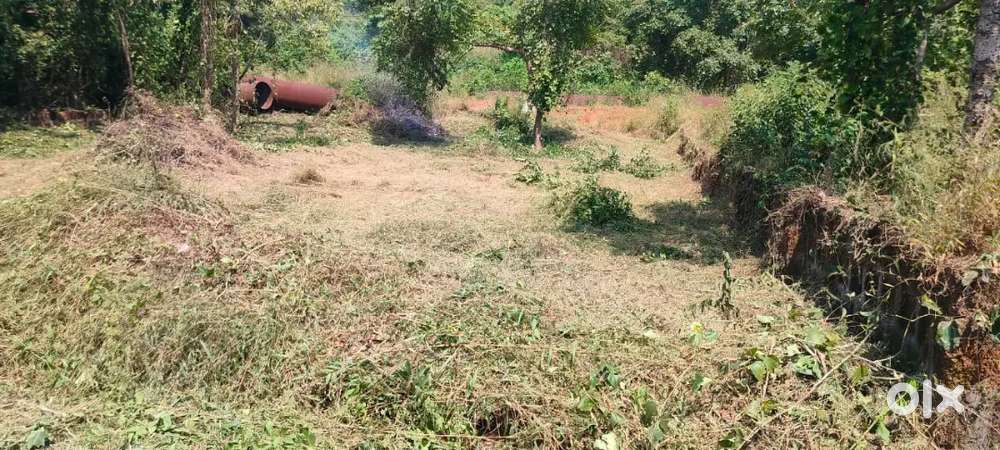 Developed Plots For Sale in Navelim Mandopa peaceful location