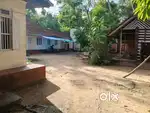 55 Cent 2 old house Kureepuzha Kadavoor 700 Meters bypass