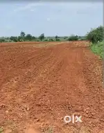 New plot chief price available