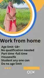 Work from home project