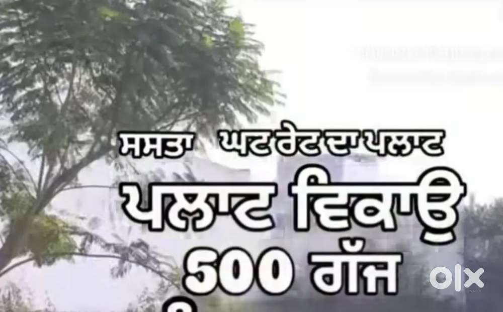 Plot 500 Gaj Janta Nagar Gali No 5  Bathinda