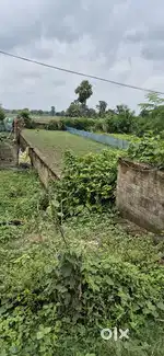 Road side plot near bhakuri village , Karim er Mor