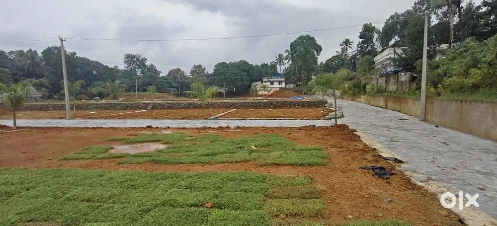 Kizhakambalam ponjessery road 500 mtr. Posh ariya