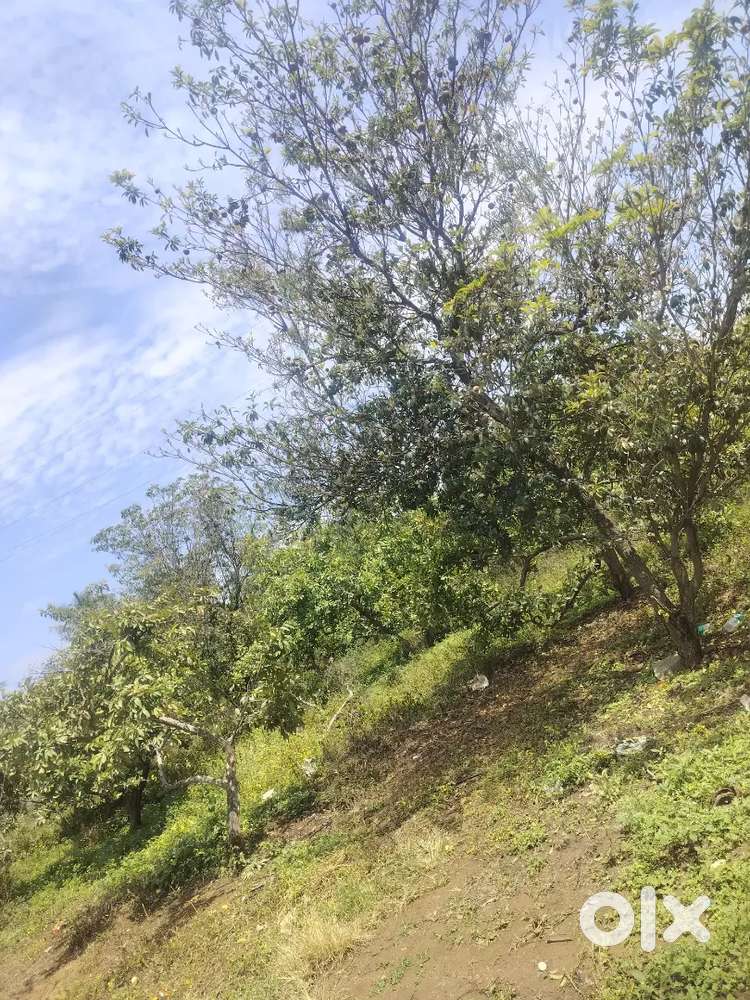 Agriculture general land Total 3 acres 2 gunts