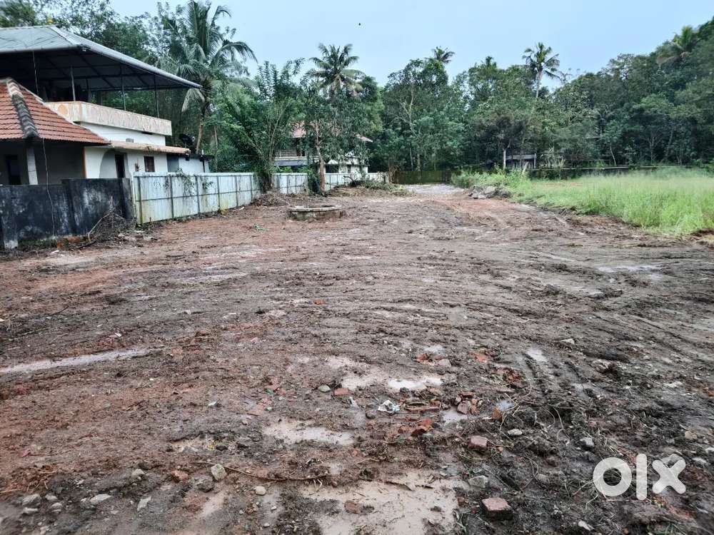 Plot for sale near muhamma Alappuzha madhurai highway side
