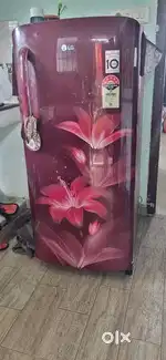 LG 5 Star Fridge