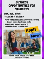 Work From Home Opportunity