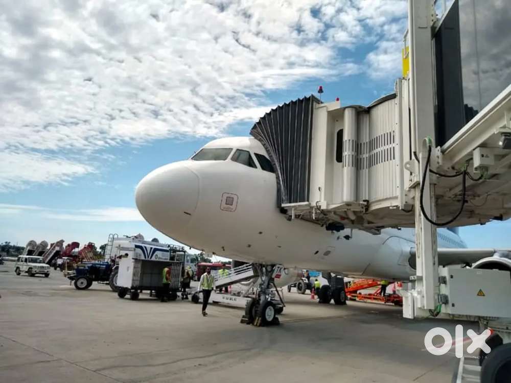 'Airport Ground Staff Jobs in Indigo Airlines