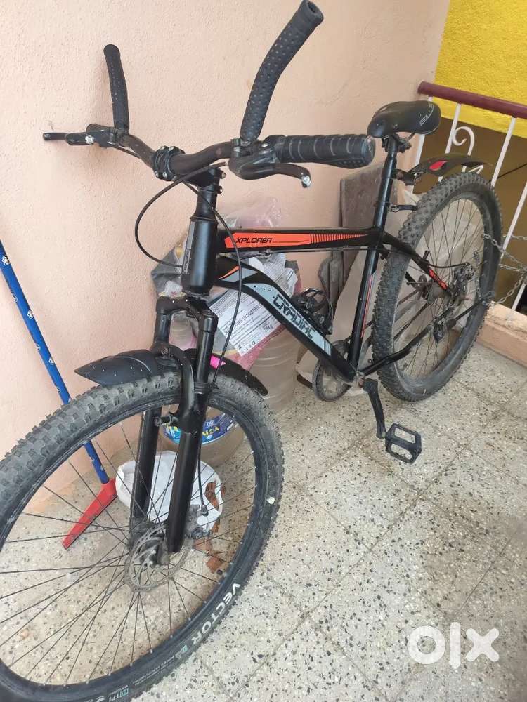 Cradiac cycle xplorer