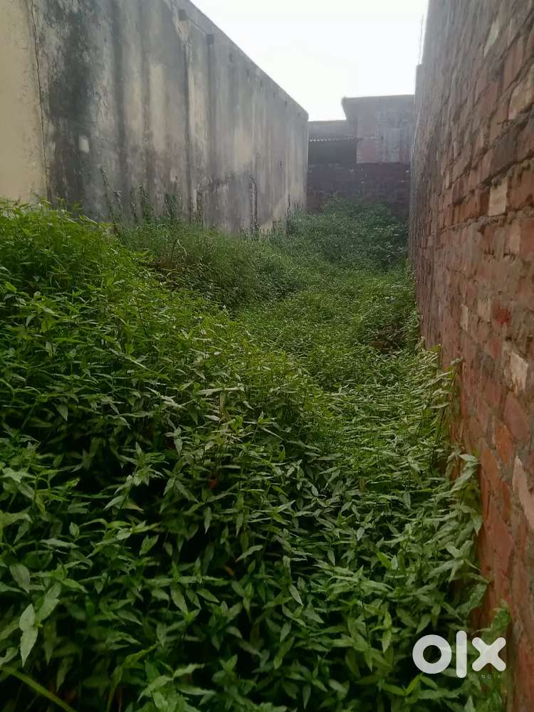 For sale plot near khakra pull pilibhit