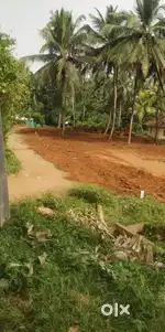 Low Budget Residential Plots At Pathirippala - Palakkad