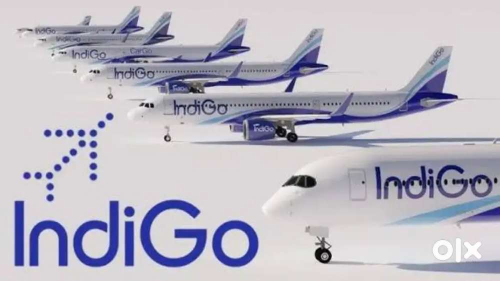 Domestic/International Airport Ground Staff Jobs in Indigo Airlines