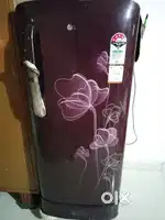 Selling the fridge