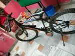 Single gear bicycle