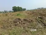 2.70 lacs onwards nearby Joka 75 bus route