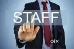 cook/office boy