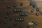 Work From Home ( free joining)