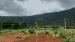 42cent Green home