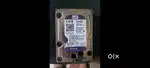 4tb Harddisk WD purple New on